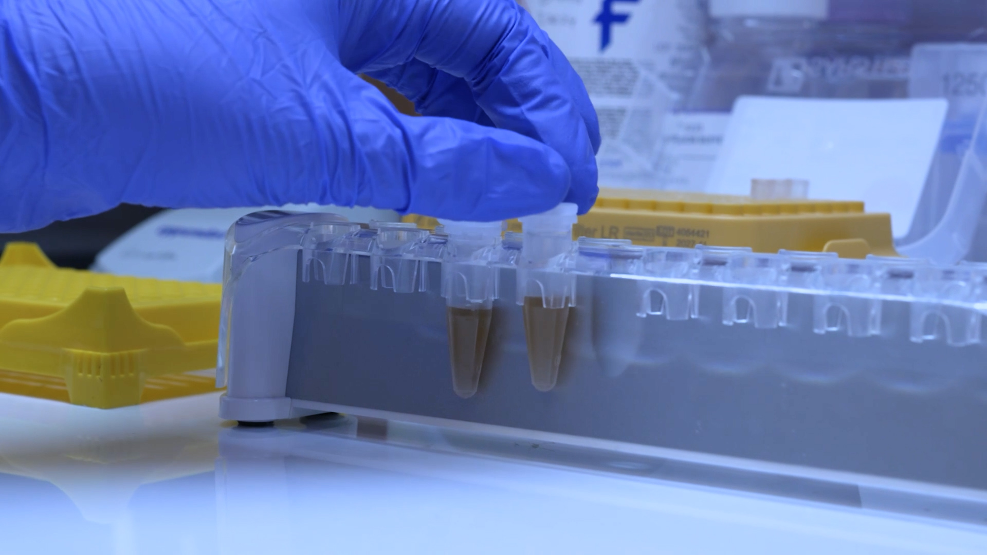 Somatic and Germline Mutations research