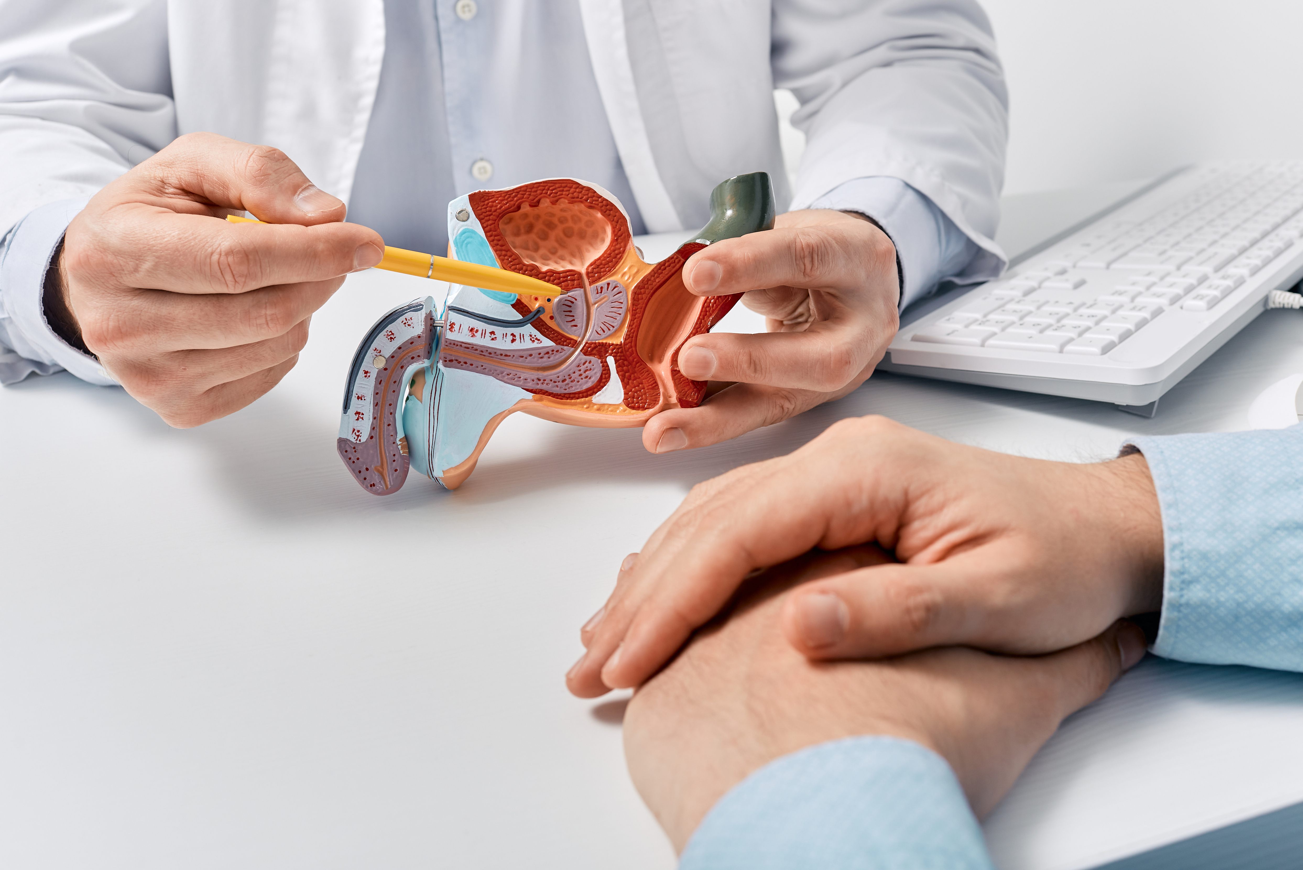 Prostate Cancer research
